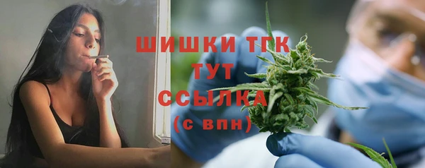 крисы Аркадак