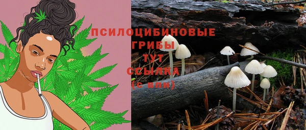 ALPHA PVP Армянск