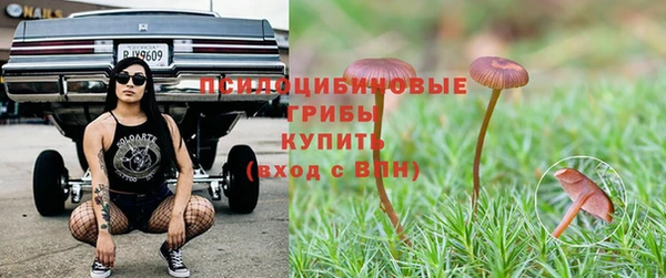 крисы Аркадак