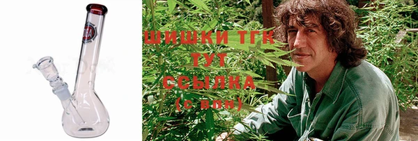 крисы Аркадак