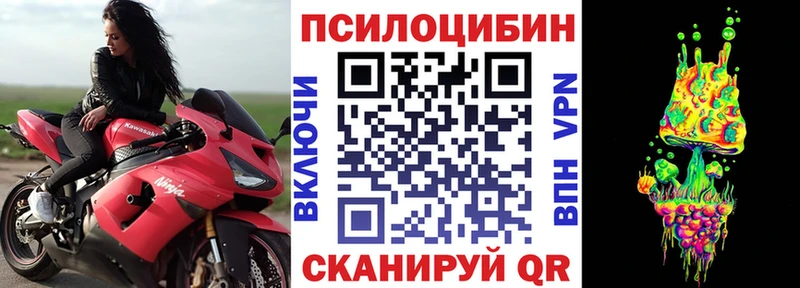 блэк спрут Узловая Галлюциногенные грибы Magic Shrooms